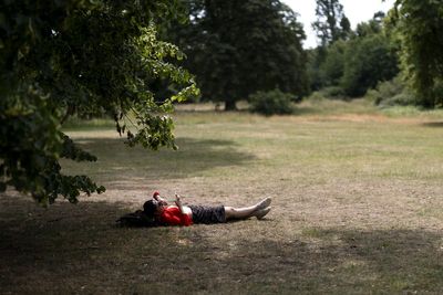 Royal Parks staff take precautions as the UK braces for scorching conditions