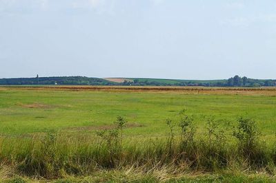 Since the 1950s, China has restored vegetation across the Loess Plateau; some studies have found that forestation could reduce water yield in drier areas