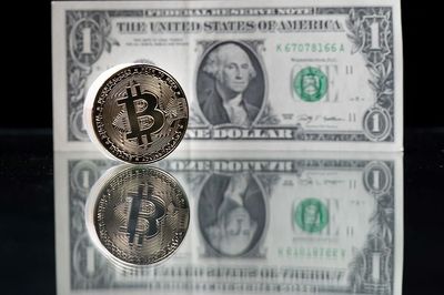 Crypto Stocks Are Rallying as Investors Rotate Out of AI Infrastructure. But Bitcoin Miners Are Being Left Behind