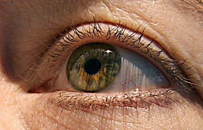 FDA Approves the First Eye-Specific Bevacizumab, Ending Two Decades of Pharmacy Repackaging for Wet AMD