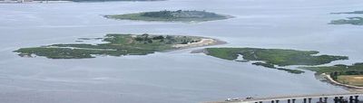 In 2012, New York pumped 375,000 cubic yards of harbor sand onto a vanishing Jamaica Bay island; 44 acres of salt marsh returned