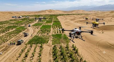 Once known as the 'Sea of Death', China's Taklamakan Desert is turning greener with drone technology