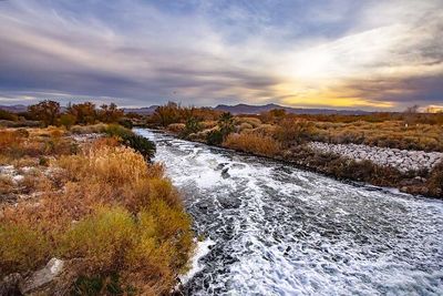 Las Vegas lost 90% of a 2,000-acre wetland as surging water eroded its banks; weirs and native plantings later cut suspended sediment by 60%