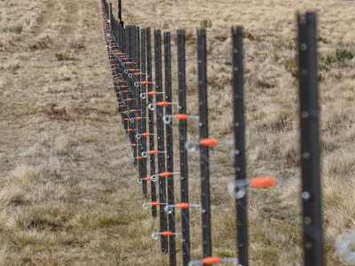 Australia built an A$187,000 electric fence across wild horse country; inside lies an endangered alpine wetland supporting three threatened animals