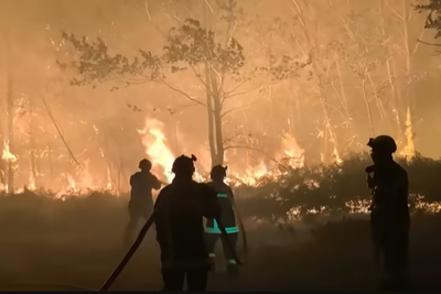'We Are at War with an Enemy': Firefighters Describe 'David v Goliath' Battle Against Europe's Mega-Blazes