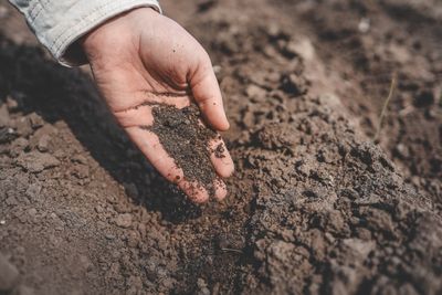 Can Biochar Help Sandy Soil Hold Water During Hot Weather?