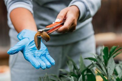 What Is the Safest Way to Handle Slugs Without Harsh Chemicals?