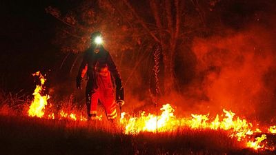Europe is burning: How bad could this wildfire crisis get?