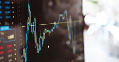 Investors dump chip stocks as 'AI rollercoaster lurches downwards'