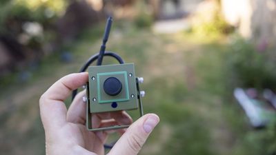 Green Feathers WiFi Bird Box Camera review: a small, sleek and subscription-free window into the nest