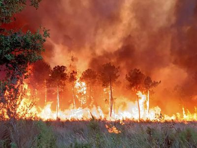 France wildfires create rare ‘fire cloud’ near Bordeaux — what is it?