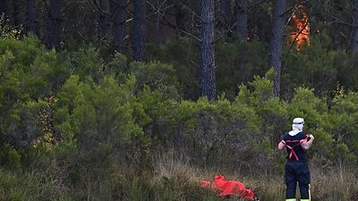 EU wildfire strategy falls short as southern Europe faces another devastating fire season