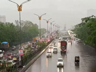 India's cities need USD 2.4 trillion investment by 2050, but municipal corporations raise only a fraction: Report