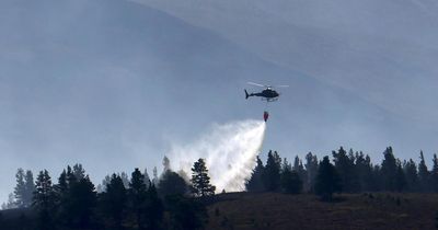 Scottish Government urged to create emergency fund for wildfire support