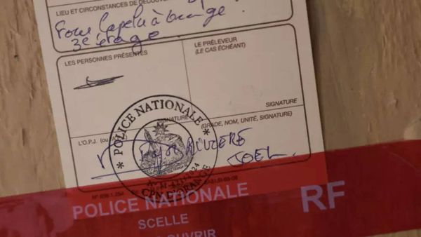 Remains of five infants found in French couple's home; partner made discovery