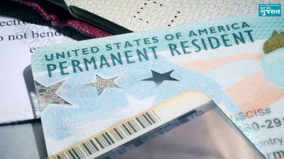 'If you have no criminal record...' US senator wants Green Card for immigrants after 7 years of residency, gets called out as 'traitor'