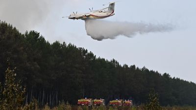 Bad news for Bordeaux: France's celebrated wine industry faces wake-up call over wildfires
