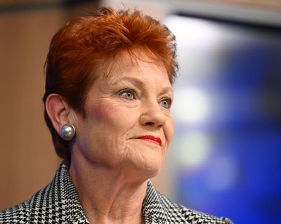 One Nation faces being struck off in Queensland after failing to file audited financial statements