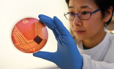A Resistance Gene That Defeats Most Available Antibiotics Is Turning Up in More American Hospitals