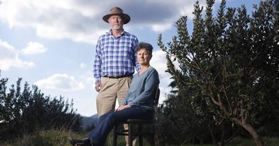 How volunteers got 'Green Shed-ed' in Dairy Road tender battle