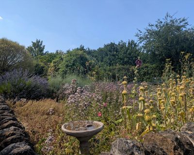 Country diary: In poet John Clare’s garden, I contemplate my ancestor who lived here too
