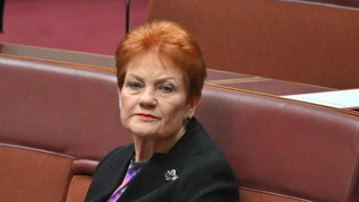 One Nation in hot water with Queensland watchdog