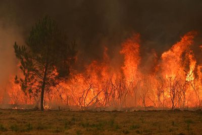 France wildfire evacuation may be largest peacetime exodus as Bordeaux continues to burn