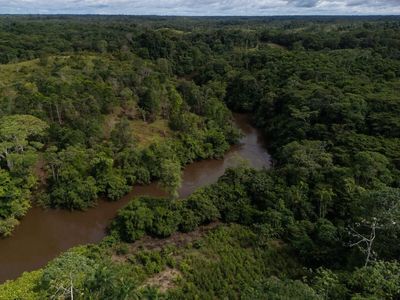 Retrospective environmental clearances: SC quashes 2021 directive granting Centre, others power to grant ECs