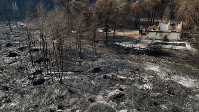 🔴 Live: France battles new wildfire in south of France as Fontainebleau fire flares up again