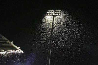 The simple change that could save millions of insect lives