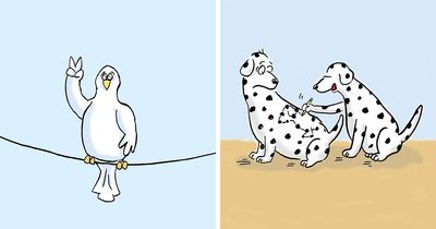 33 Silent Animal Comics By Jonny Hawkins That Don’t Need Words To Make You Laugh
