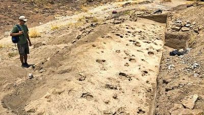 Ancient footprints found in Kenya reveal how early human relatives may have travelled and lived together 1.43 million years ago