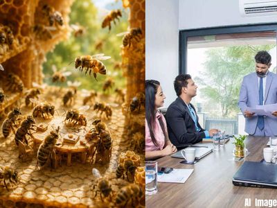 No boss, no meetings, yet every bee knows exactly what to do. German scientists reveal how bees stay organised without managers