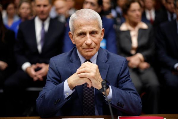 Anthony Fauci to face grilling from Senate Republicans on Covid pandemic