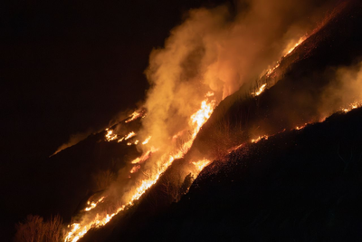 'We Had Minutes to Leave': Bordeaux Residents Describe Frantic Escape as Wildfire Sweeps Through Homes