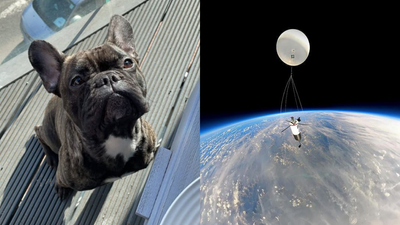 UK TikToker promised to show his dog the world, but after it died, he built a homemade spacecraft to send its ashes on one final journey above the Earth