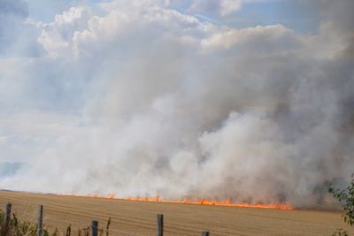 London weather LIVE: New wildfires rage in capital as worst drought in decades grips city