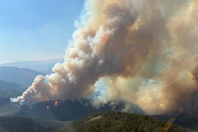 Canada’s worst wildfire season fuels calls for national agency to tackle threat