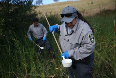 California West Nile Cases Are Running at Double Last Year's Pace as Three Valley Counties Report First Infections