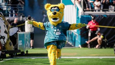 How Much Do NFL Mascots Make? Salaries, Pay Range and Perks