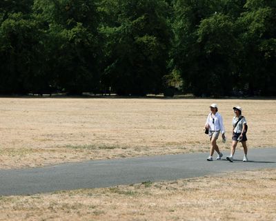 Half of England officially in ‘exceptionally serious’ drought
