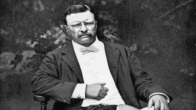 Quote of the day by Theodore Roosevelt: ‘The best prize that life offers is the chance to work hard at work worth doing,’ and why purpose gives meaning to effort