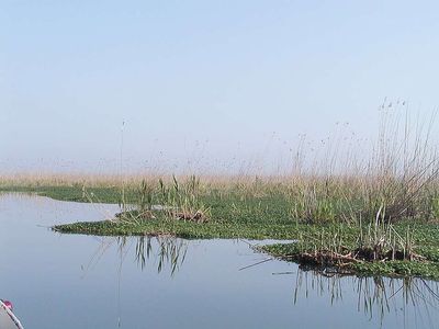 In 1980, the Soviet Union dammed a Caspian Lagoon to save water; it nearly vanished within three years, and salt-laden dust storms followed