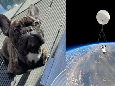 Who is The Battersby? UK TikToker sends late dog Oscar’s ashes to ‘edge of space’ in emotional tribute