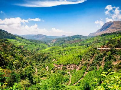 Centre issues 7th draft to notify Western Ghats eco-sensitive zone