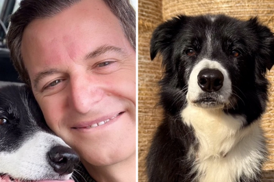 Matt Baker reveals loss of pet border collie Bob ‘took a lot to get over’