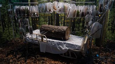 Los Angeles hospital transformed into immersive art exhibition