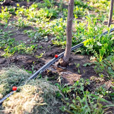 Can you use an irrigation system during a hosepipe ban? It could be the loophole you need to keep your garden watered this summer