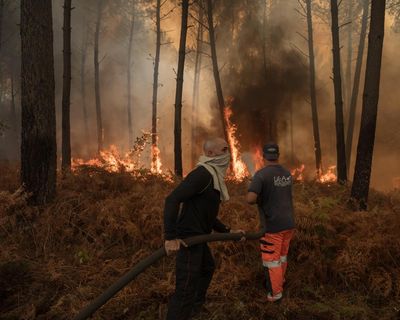 Three firefighters killed on Crete and in mainland Greece as Europe battles wildfires