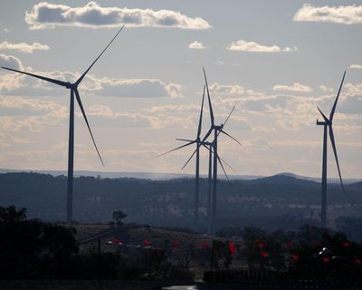 ‘Extremely effective’ organised campaigns against wind and solar undermining support for renewable energy